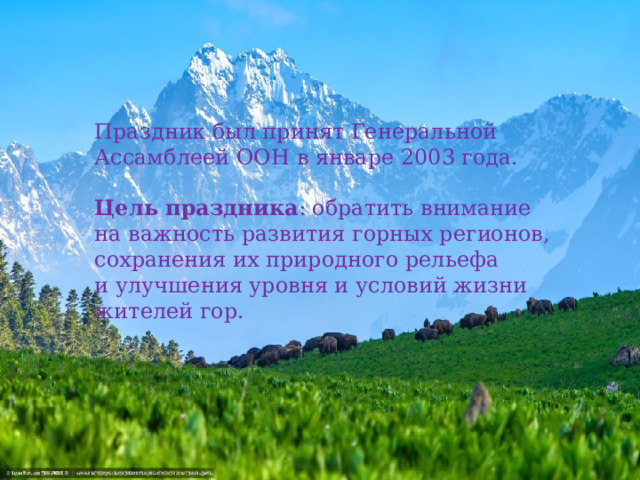 Праздник был принят Генеральной Ассамблеей ООН в январе 2003 года.   Цель праздника : обратить внимание на важность развития горных регионов, сохранения их природного рельефа и улучшения уровня и условий жизни жителей гор. 