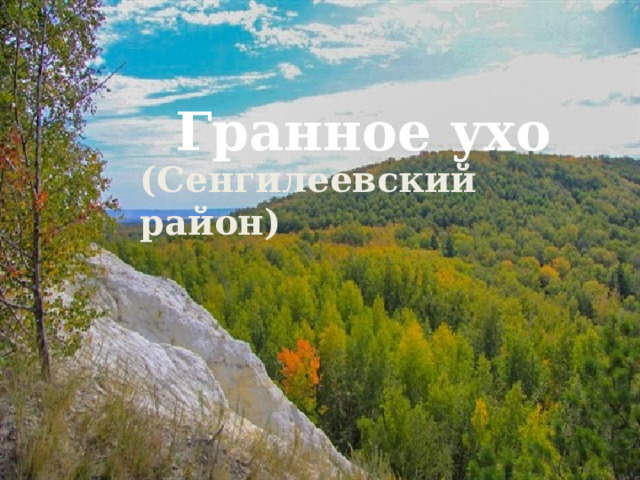 Гранное ухо (Сенгилеевский район) 