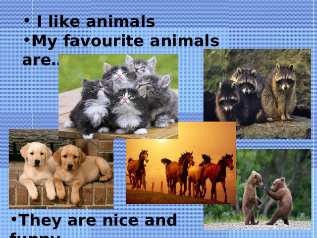  I like animals My favourite animals are… They are nice and funny. 