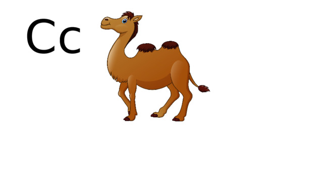 Cc    