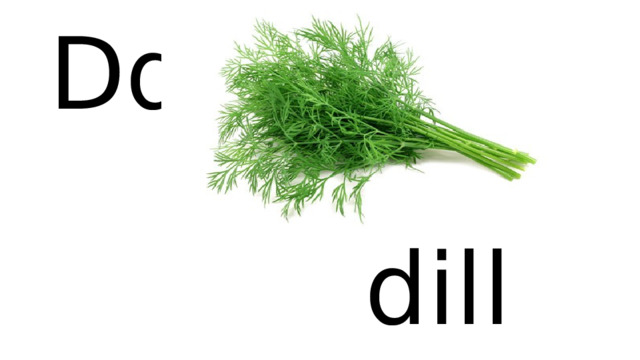 Dd   dill 