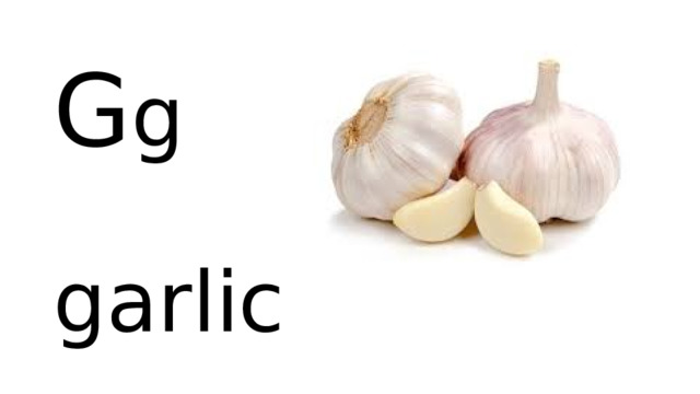 G g   garlic 