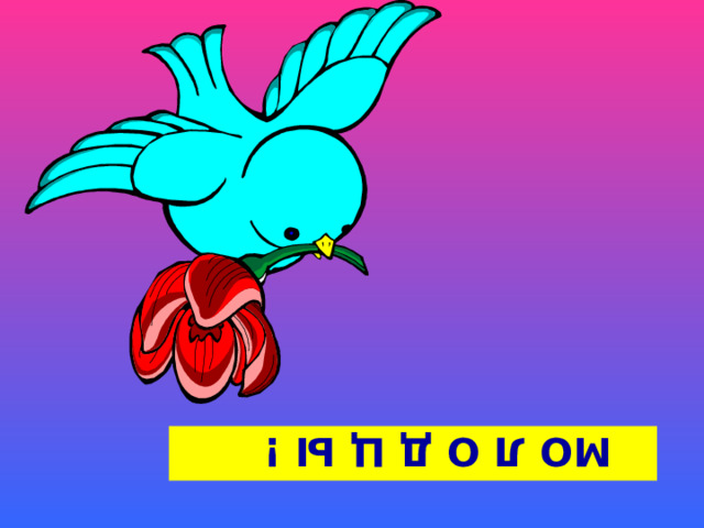  МО Л О Д Ц Ы ! 