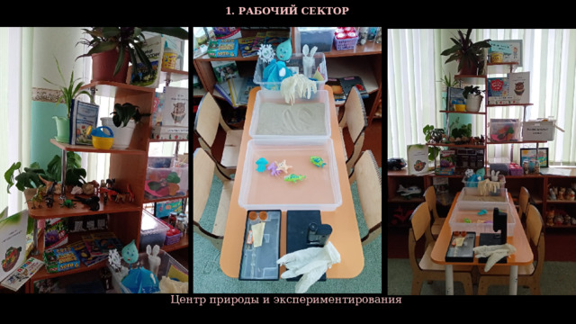  1. РАБОЧИЙ СЕКТОР  Центр природы и экспериментирования  
