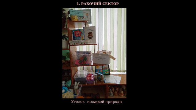  1. РАБОЧИЙ СЕКТОР  Уголок неживой природы  