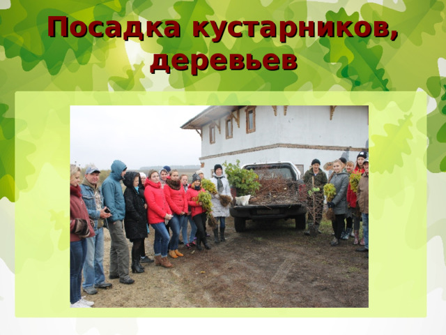 Посадка кустарников, деревьев 