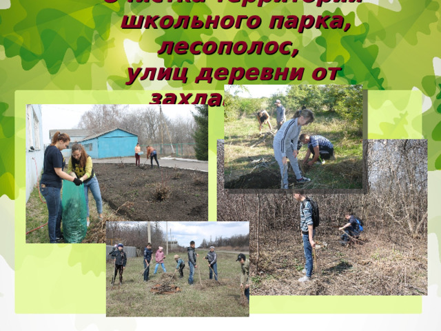Очистка территории  школьного парка, лесополос,  улиц деревни от захламления 