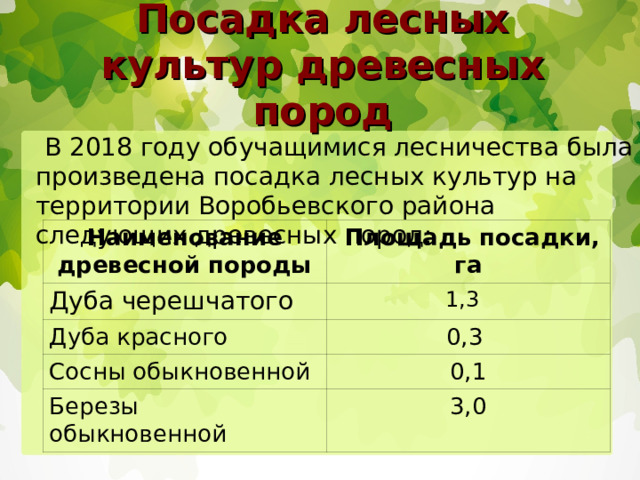 Посадка лесных культур древесных пород  В 2018 году обучащимися лесничества была произведена посадка лесных культур на территории Воробьевского района следующих древесных пород: Наименование древесной породы Дуба черешчатого  Площадь посадки, га Дуба красного 1,3  0,3 Сосны обыкновенной Березы обыкновенной 0,1 3,0 