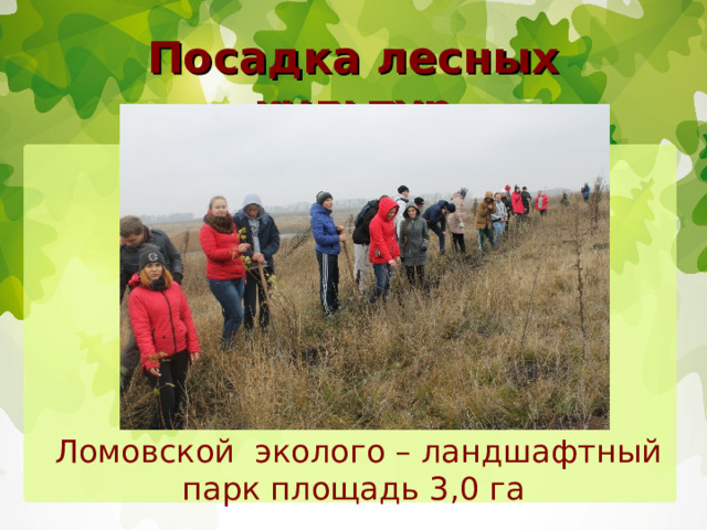 Посадка лесных культур  Ломовской эколого – ландшафтный парк площадь 3,0 га 