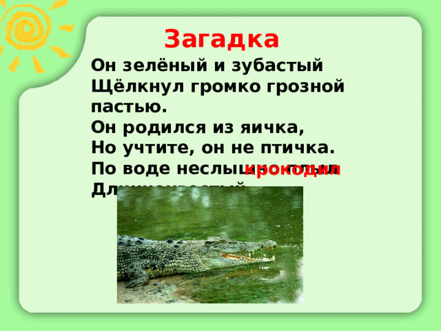 Загадка Он зелёный и зубастый Щёлкнул громко грозной пастью. Он родился из яичка, Но учтите, он не птичка. По воде неслышно плыл Длиннохвостый …   крокодил 