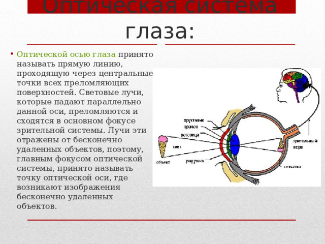 Оптическая система глаза: Оптической осью глаза принято называть прямую линию, проходящую через центральные точки всех преломляющих поверхностей. Световые лучи, которые падают параллельно данной оси, преломляются и сходятся в основном фокусе зрительной системы. Лучи эти отражены от бесконечно удаленных объектов, поэтому, главным фокусом оптической системы, принято называть точку оптической оси, где возникают изображения бесконечно удаленных объектов. 