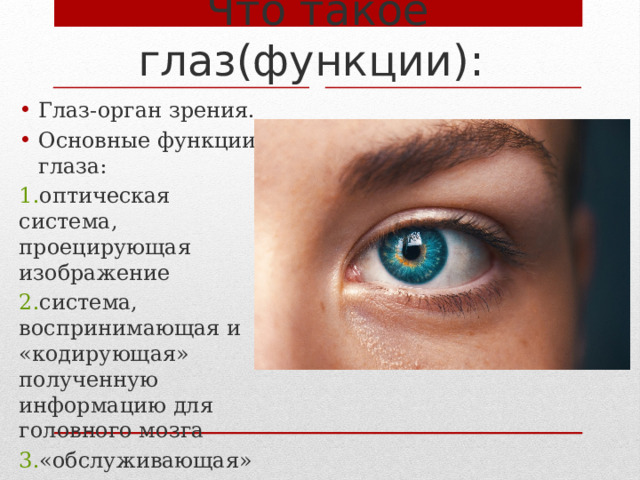 Что такое глаз(функции): Глаз-орган зрения. Основные функции глаза: 1. оптическая система, проецирующая изображение 2. система, воспринимающая и «кодирующая» полученную информацию для головного мозга 3. «обслуживающая» система жизнеобеспечения. 