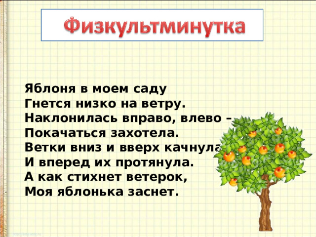 Яблоня в моем саду  Гнется низко на ветру.  Наклонилась вправо, влево –  Покачаться захотела.  Ветки вниз и вверх качнула  И вперед их протянула.  А как стихнет ветерок,  Моя яблонька заснет. 