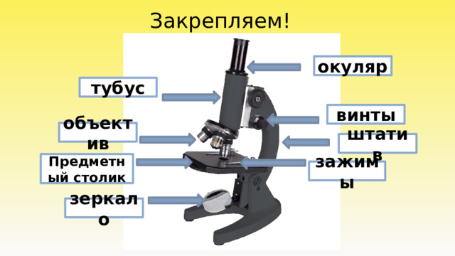 Закрепляем! окуляр тубус винты объектив штатив Предметный столик зажимы зеркало 
