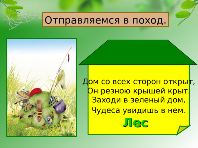 Отправляемся в поход. Дом со всех сторон открыт, Он резною крышей крыт. Заходи в зеленый дом, Чудеса увидишь в нем . Лес 