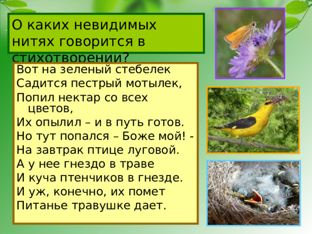 О каких невидимых нитях говорится в стихотворении? Вот на зеленый стебелек Садится пестрый мотылек, Попил нектар со всех цветов, Их опылил – и в путь готов. Но тут попался – Боже мой! - На завтрак птице луговой. А у нее гнездо в траве И куча птенчиков в гнезде. И уж, конечно, их помет Питанье травушке дает. 