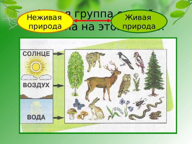Какая группа связей показана на этой схеме? Неживая природа Живая природа 