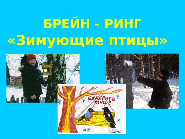 БРЕЙН - РИНГ «Зимующие птицы» 