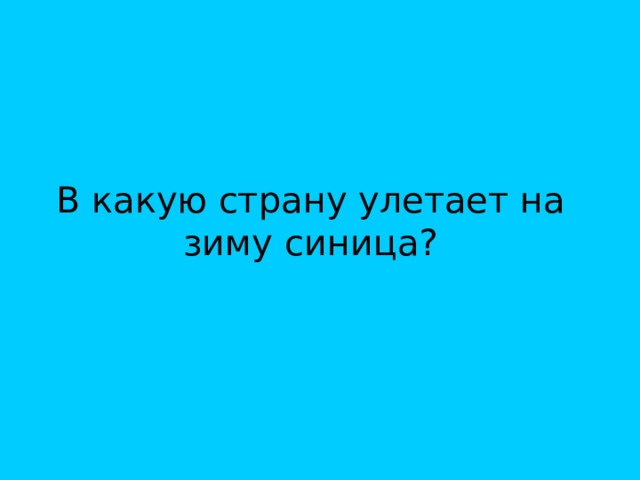 В какую страну улетает на зиму синица? 