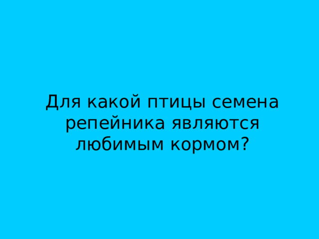 Для какой птицы семена репейника являются любимым кормом? 