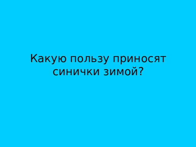 Какую пользу приносят синички зимой? 