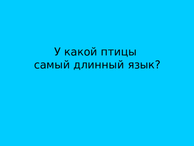У какой птицы  самый длинный язык? 