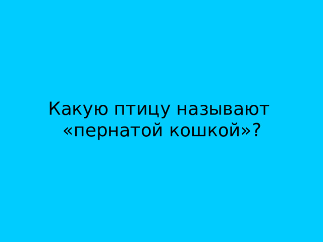 Какую птицу называют  «пернатой кошкой»? 