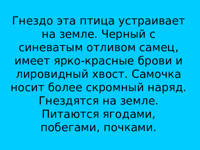 Гнездо эта птица устраивает на земле. Черный с синеватым отливом самец, имеет ярко-красные брови и лировидный хвост. Самочка носит более скромный наряд. Гнездятся на земле. Питаются ягодами, побегами, почками. 