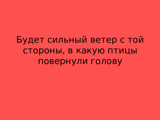 Будет сильный ветер с той стороны, в какую птицы повернули голову 