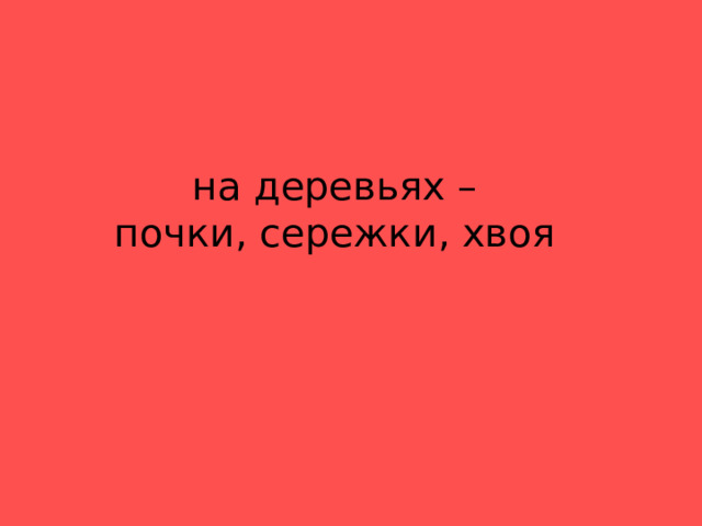на деревьях –  почки, сережки, хвоя 