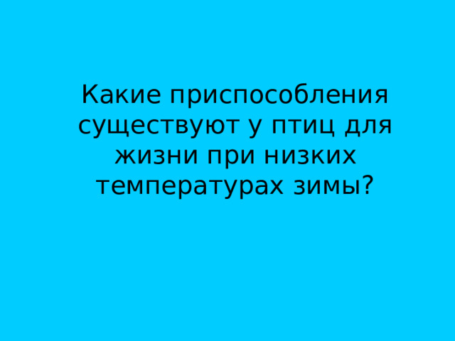 Какие приспособления существуют у птиц для жизни при низких температурах зимы? 