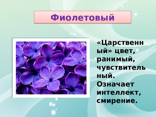Фиолетовый  «Царственный» цвет, ранимый, чувствительный. Означает интеллект, смирение. 
