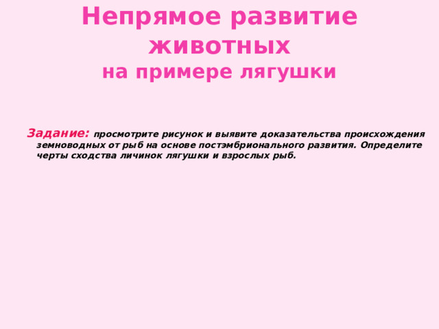 Непрямое развитие животных  на примере лягушки Задание: просмотрите рисунок и выявите доказательства происхождения земноводных от рыб на основе постэмбрионального развития. Определите черты сходства личинок лягушки и взрослых рыб.   