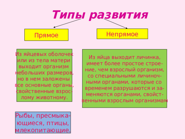  Типы развития Непрямое Прямое Из яйцевых оболочек или из тела матери выходит организм небольших размеров, но в нем заложены все основные органы, свойственные взрос- лому животному. Из яйца выходит личинка, имеет более простое строе- ние, чем взрослый организм, со специальными личиноч- ными органами, которые со временем разрушаются и за- меняются органами, свойст- венными взрослым организмам Рыбы, пресмыка- ющиеся, птицы, млекопитающие. 