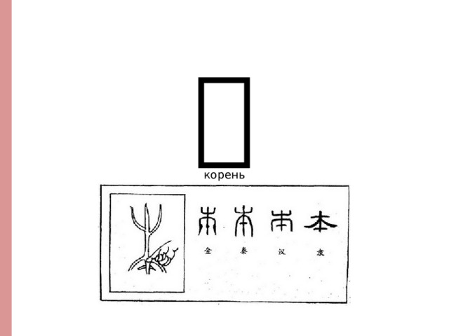 本 корень http://www.vividict.com/WordInfo.aspx?id=1414  