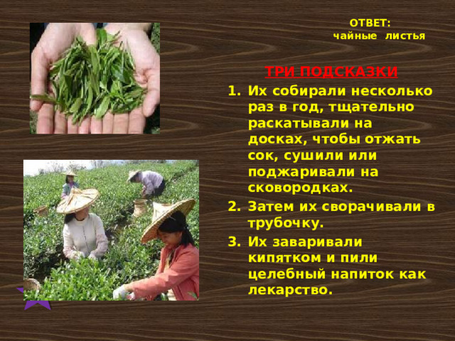  ОТВЕТ:  чайные листья  ТРИ ПОДСКАЗКИ Их собирали несколько раз в год, тщательно раскатывали на досках, чтобы отжать сок, сушили или поджаривали на сковородках. Затем их сворачивали в трубочку. Их заваривали кипятком и пили целебный напиток как лекарство.  