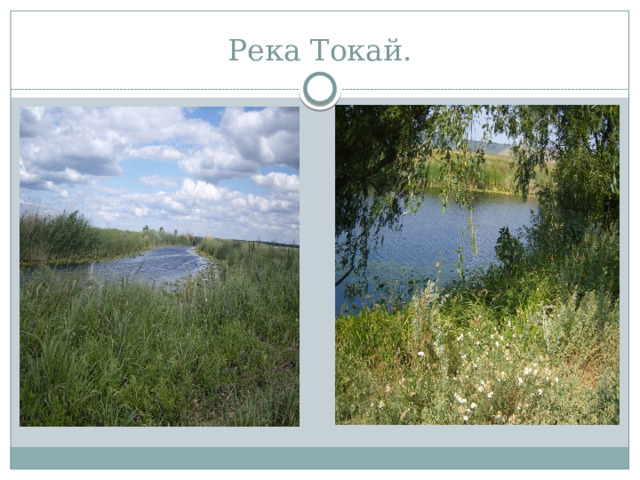 Река Токай. 