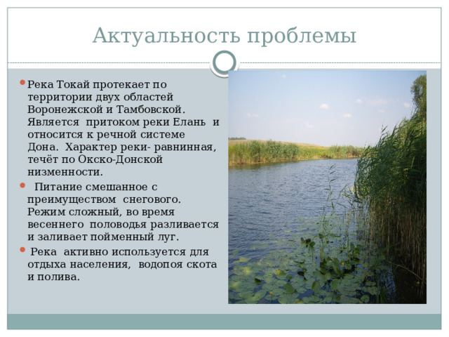 Актуальность проблемы Река Токай протекает по территории двух областей Воронежской и Тамбовской. Является притоком реки Елань и относится к речной системе Дона. Характер реки- равнинная, течёт по Окско-Донской низменности.  Питание смешанное с преимуществом снегового. Режим сложный, во время весеннего половодья разливается и заливает пойменный луг.  Река активно используется для отдыха населения, водопоя скота и полива. 