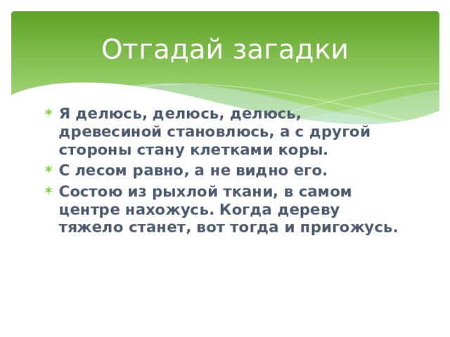 Отгадай загадки Я делюсь, делюсь, делюсь, древесиной становлюсь, а с другой стороны стану клетками коры. С лесом равно, а не видно его. Состою из рыхлой ткани, в самом центре нахожусь. Когда дереву тяжело станет, вот тогда и пригожусь.  