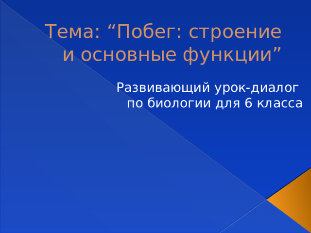 Тема: “Побег: строение и основные функции” Развивающий урок-диалог по биологии для 6 класса 