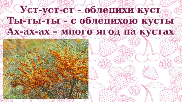 Уст-уст-ст - облепихи куст Ты-ты-ты – с облепихою кусты Ах-ах-ах – много ягод на кустах 