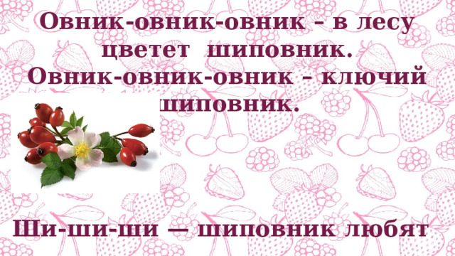 Овник-овник-овник – в лесу цветет шиповник. Овник-овник-овник – ключий шиповник. Ши-ши-ши — шиповник любят малыши. 