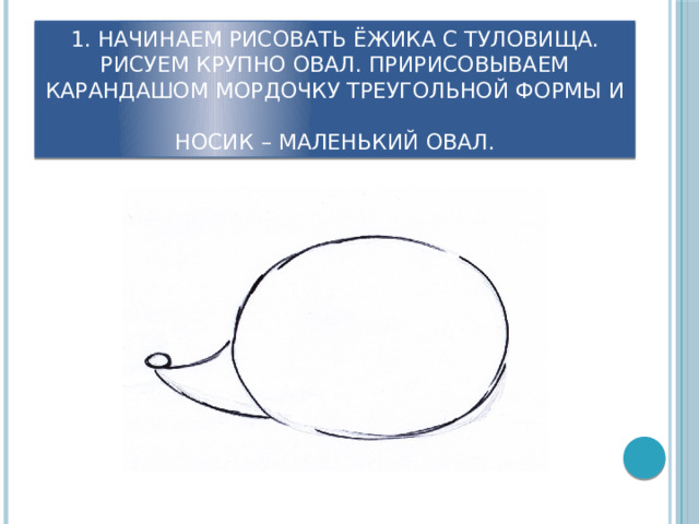 1. начинаем рисовать ёжика с туловища. рисуем крупно овал. Пририсовываем карандашом мордочку треугольной формы и  носик – маленький овал. 