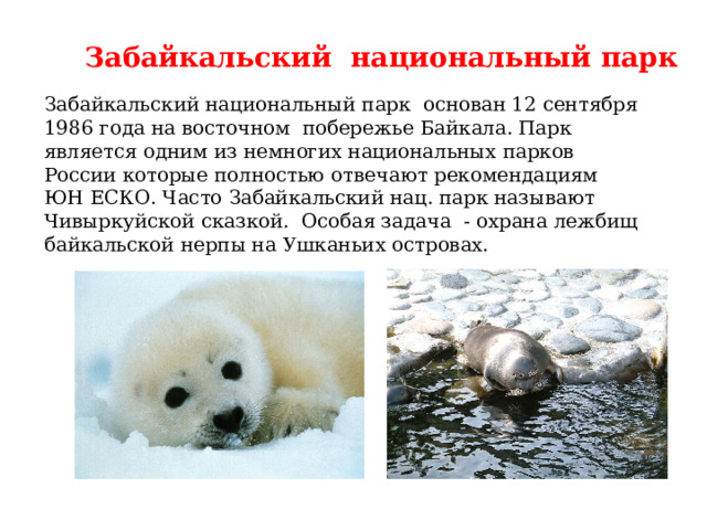 Забайкальский национальный парк Забайкальский национальный парк основан 12 сентября 1986 года на восточном побережье Байкала. Парк является одним из немногих национальных парков России которые полностью отвечают рекомендациям ЮН ЕСКО. Часто Забайкальский нац. парк называют Чивыркуйской сказкой. Особая задача - охрана лежбищ байкальской нерпы на Ушканьих островах. 