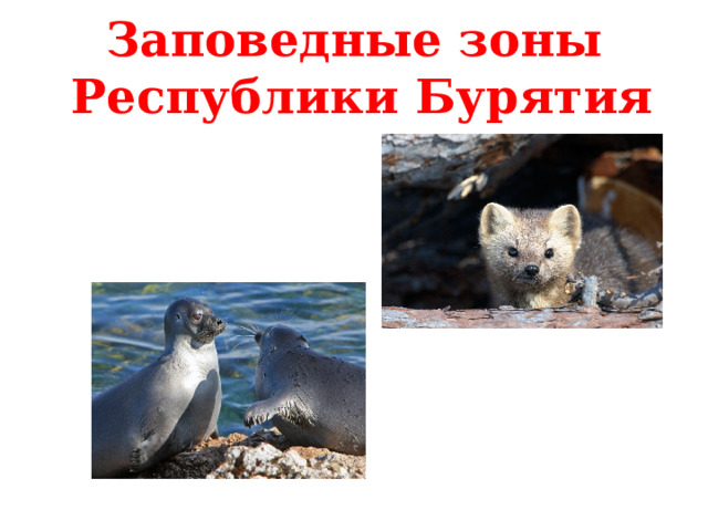 Заповедные зоны  Республики Бурятия 