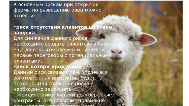 К основным рискам при открытии фермы по разведению овец можно отнести: риск отсутствия клиентов на этапе запуска  Для снижения данного риска необходимо создать клиентскую базу еще до открытия фермы и провести первые переговоры с потенциальными клиентами. риск потери продукции  Данный риск связан с тем, что не вся заготовленная продукция будет продана. Для снижения риска необходимо заключать с юридическими лицами долгосрочные контракты. Это позволит правильно планировать свою деятельность и снизить данный риск. 