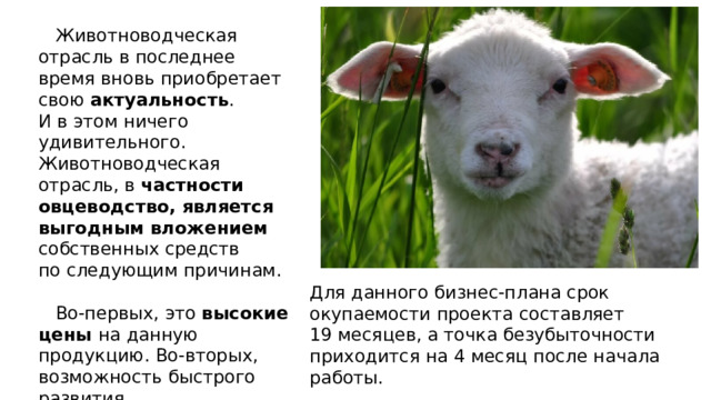  Животноводческая отрасль в последнее время вновь приобретает свою актуальность . И в этом ничего удивительного. Животноводческая отрасль, в  частности овцеводство, является выгодным вложением собственных средств по следующим причинам.  Во-первых, это высокие цены на данную продукцию. Во-вторых, возможность быстрого развития и масштабирования. Для данного бизнес-плана срок окупаемости проекта составляет 19 месяцев, а точка безубыточности приходится на 4 месяц после начала работы. 