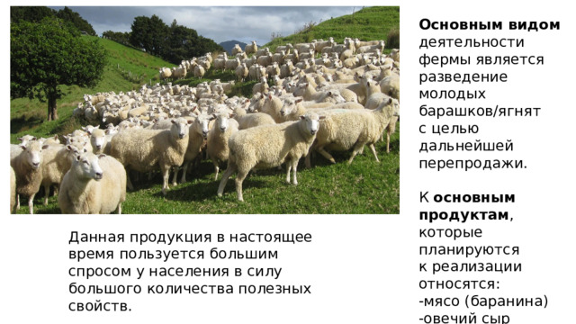 Основным видом деятельности фермы является разведение молодых барашков/ягнят с целью дальнейшей перепродажи. К  основным продуктам , которые планируются к реализации относятся: -мясо (баранина) -овечий сыр -овечье молоко -живые овцы Данная продукция в настоящее время пользуется большим спросом у населения в силу большого количества полезных свойств. 