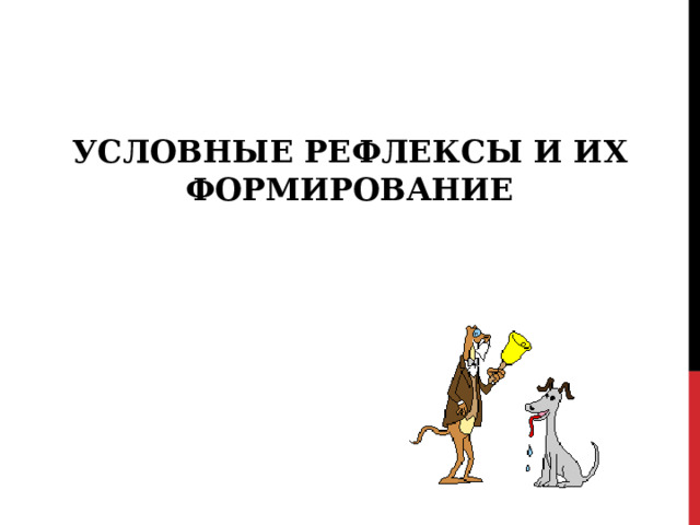 УСЛОВНЫЕ РЕФЛЕКСЫ И ИХ ФОРМИРОВАНИЕ 