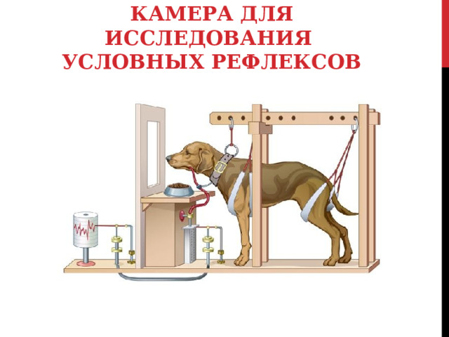 КАМЕРА ДЛЯ ИССЛЕДОВАНИЯ  УСЛОВНЫХ РЕФЛЕКСОВ 